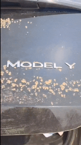 ❤️❤️❤️台灣博主黑傑克（Blackxxxx21）羞辱調教-假面女郎淩辱巨乳妹_2(露臉無碼完整版)