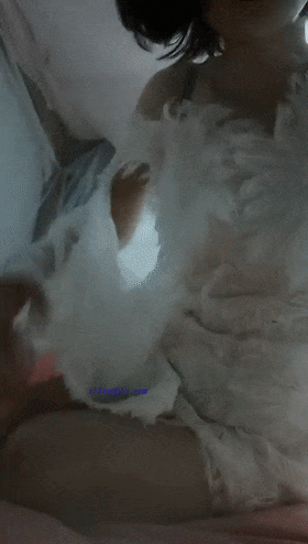 ❤️❤️❤️陪金主爸爸馬來西亞旅遊酒店按摩浴缸對著雙子星大廈做愛