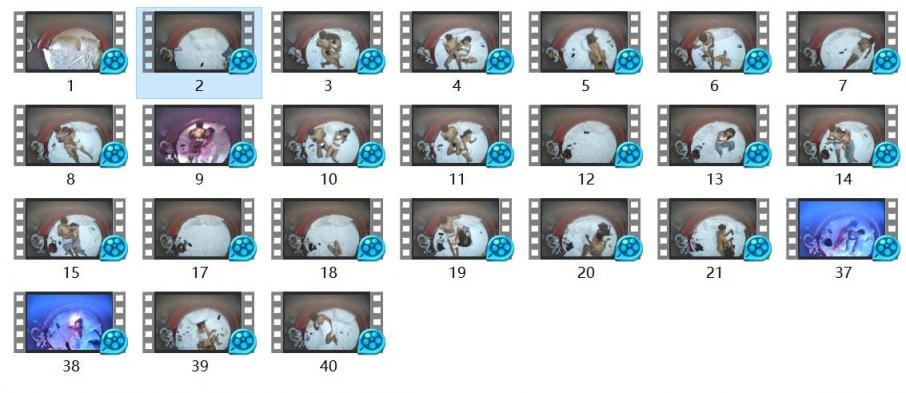 ❤️❤️❤️人氣網黃最紅帝都極品身材嫩模【北京瑤瑤Lonelymeow】付費作品我就是你的良藥