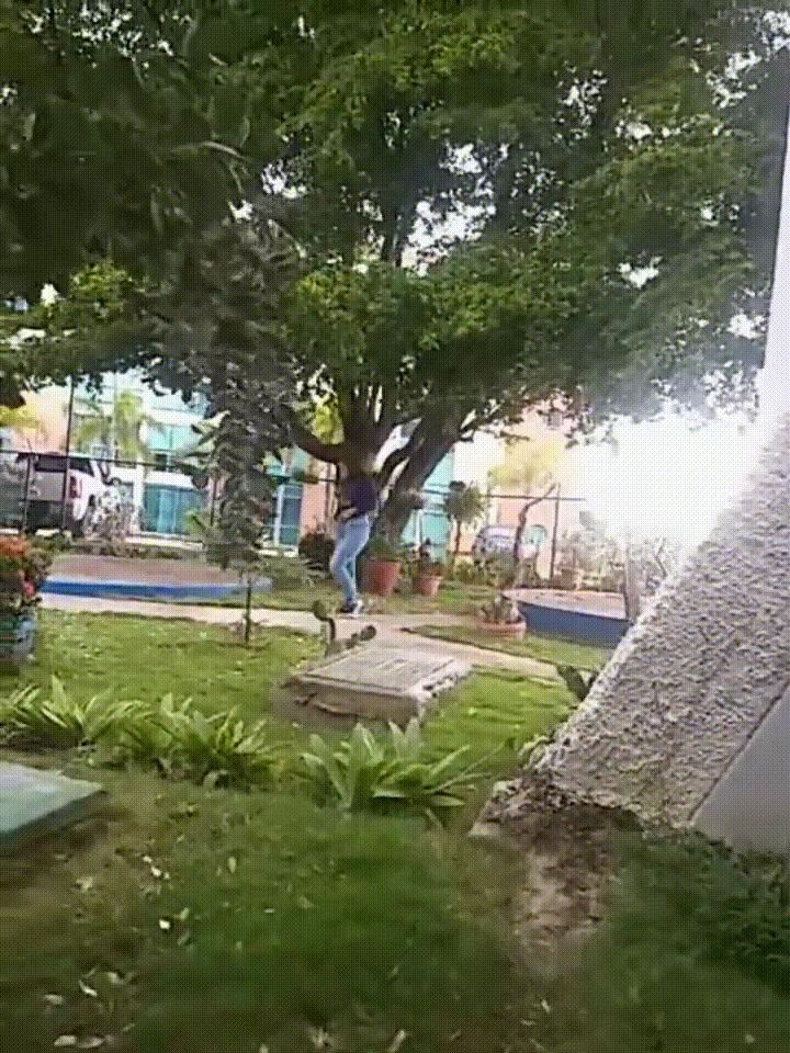 ❤️❤️❤️寶馬車上玩別人的老婆，風騷人妻，露臉口交啪啪，偷情的感覺真是刺激！