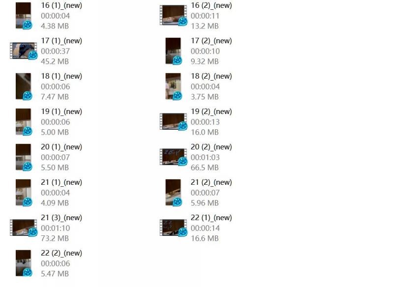 ❤️❤️❤️魔改綜藝❤️《花兒與少年》成人版《花兒與色狼》男人都不放過，簡直魔性！