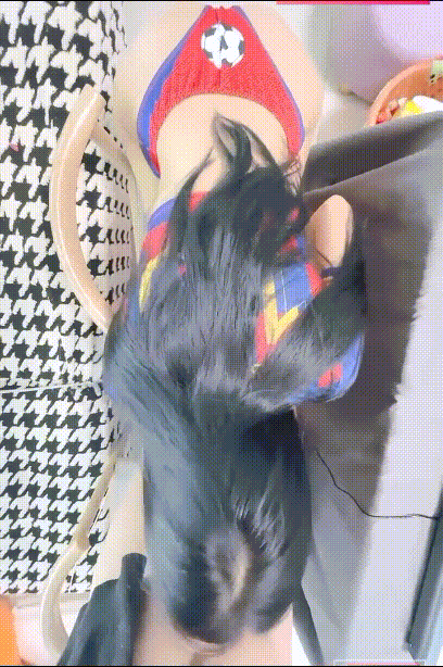 ❤️❤️❤️蘇雨彤#AVJiali應召女郎是老同學久別重逢的美好性愛