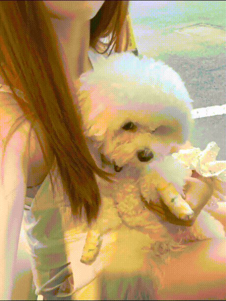 ❤️❤️❤️FansOne光头炮王【曾强】狩猎菲裔柜姐，丰唇版巨乳“林依晨”