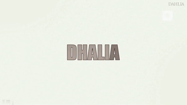 ❤️❤️❤️帝王級享受群P混操現場幹翻全場