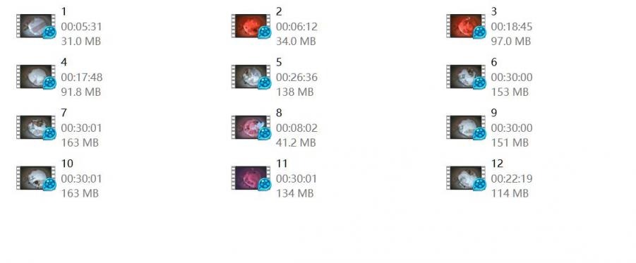 ❤️❤️❤️樂奈子#AVJiali24小時性愛遊戲因陰道太緊而挑戰失敗