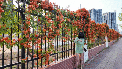 ❤️❤️❤️06年的可愛小甜妹操到中途太累了還跑去抽根煙抽完之後就狠狠的操到她叫爸爸別停