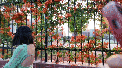 ❤️❤️❤️06年的可愛小甜妹操到中途太累了還跑去抽根煙抽完之後就狠狠的操到她叫爸爸別停