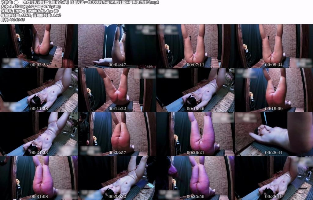 ❤️❤️❤️河南濮陽華龍區大神【中原炮王】約炮露臉騷姐姐⑶，任意玩弄高潮大量噴水(8V)