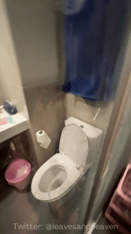 ❤️❤️❤️约操会跳舞的小少妇,双手探入抱着俩骚乳吸舔,娇喘呻吟被PUA得乖巧顺从